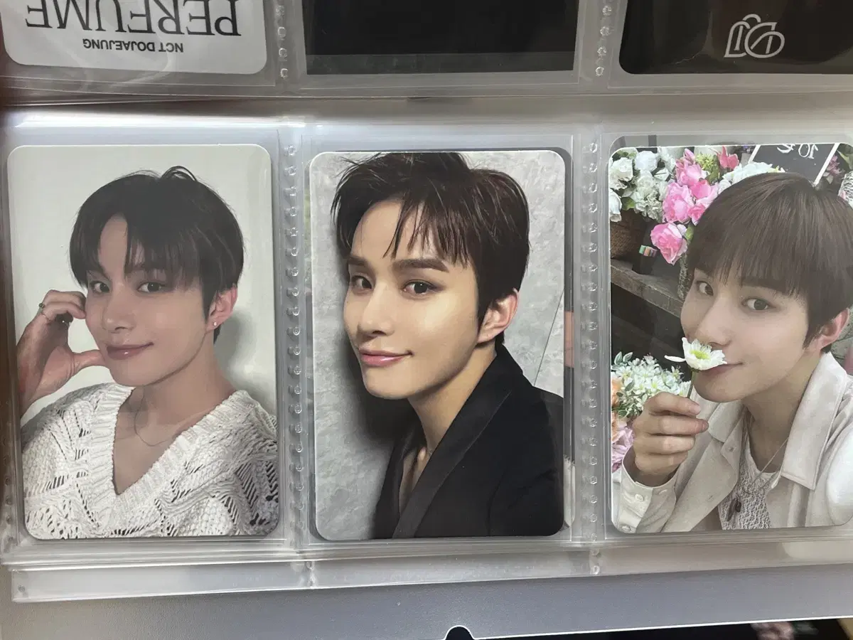 Parfums jungwoo Alposmini photocard in bulk