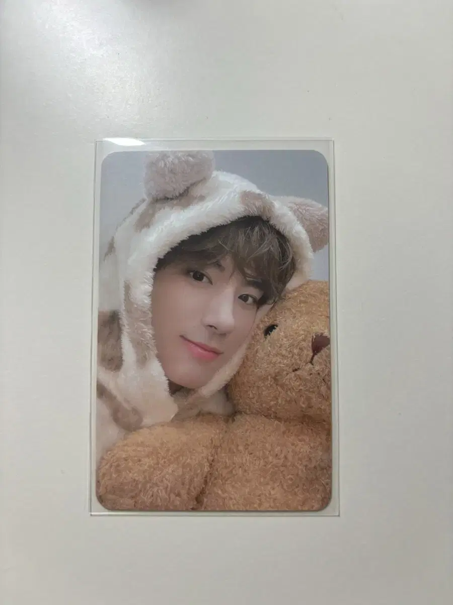 HelloLive the boyz Bear eric WTS