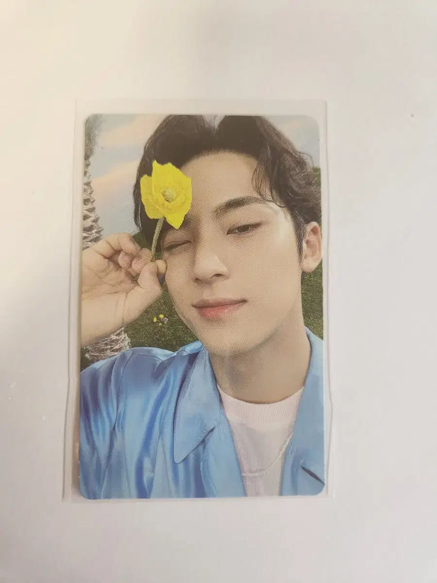 sector17 kitversion mingyu photocard wts kit