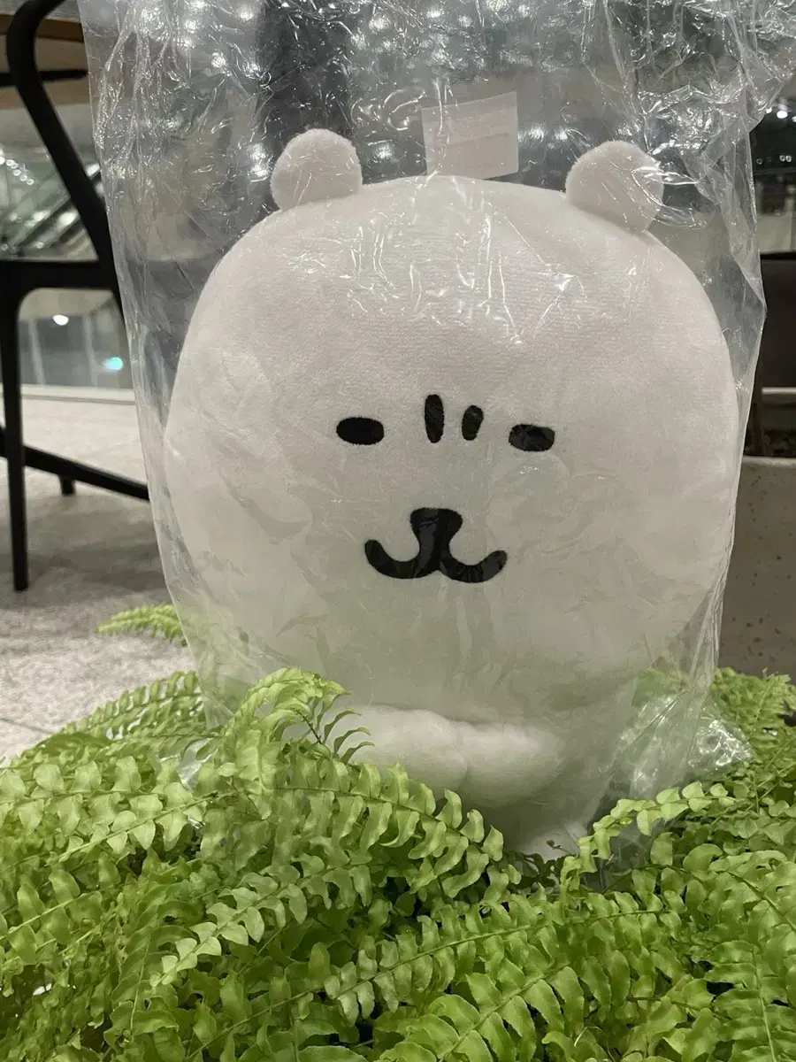 Nagano market Kuji joke bear 2nd prize to sell