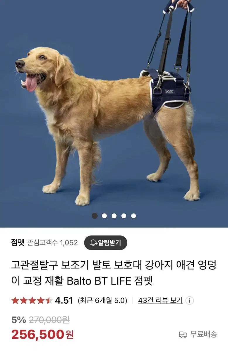 발토 강아지 고관절 탈구 보조기 보호대