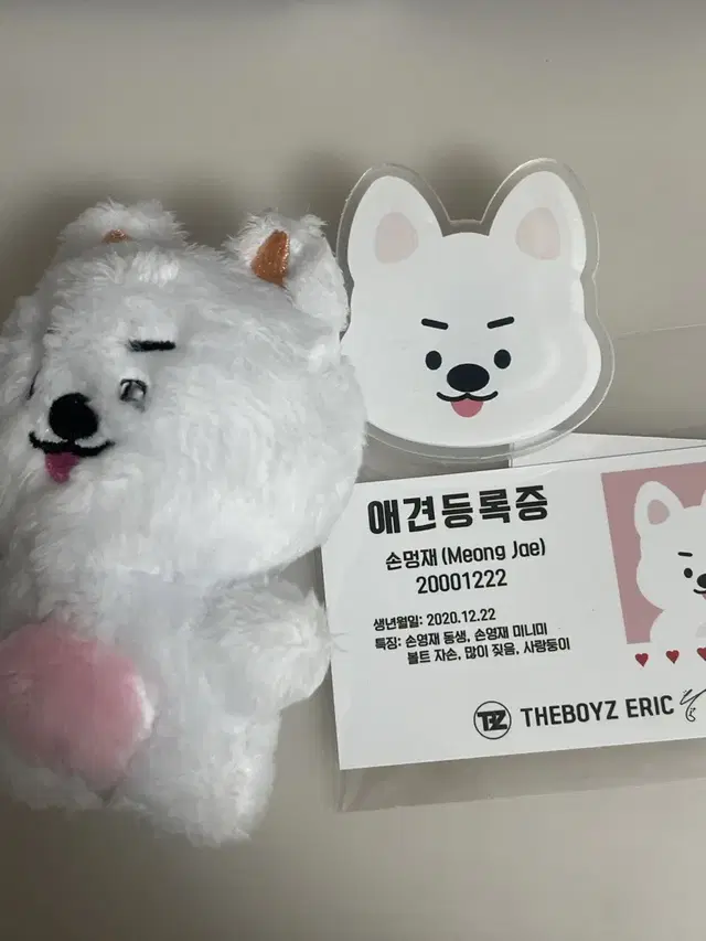 더보이즈 에릭 10cm 인형 멍재 양도 (기본특전, 아크릴 집게 포함)