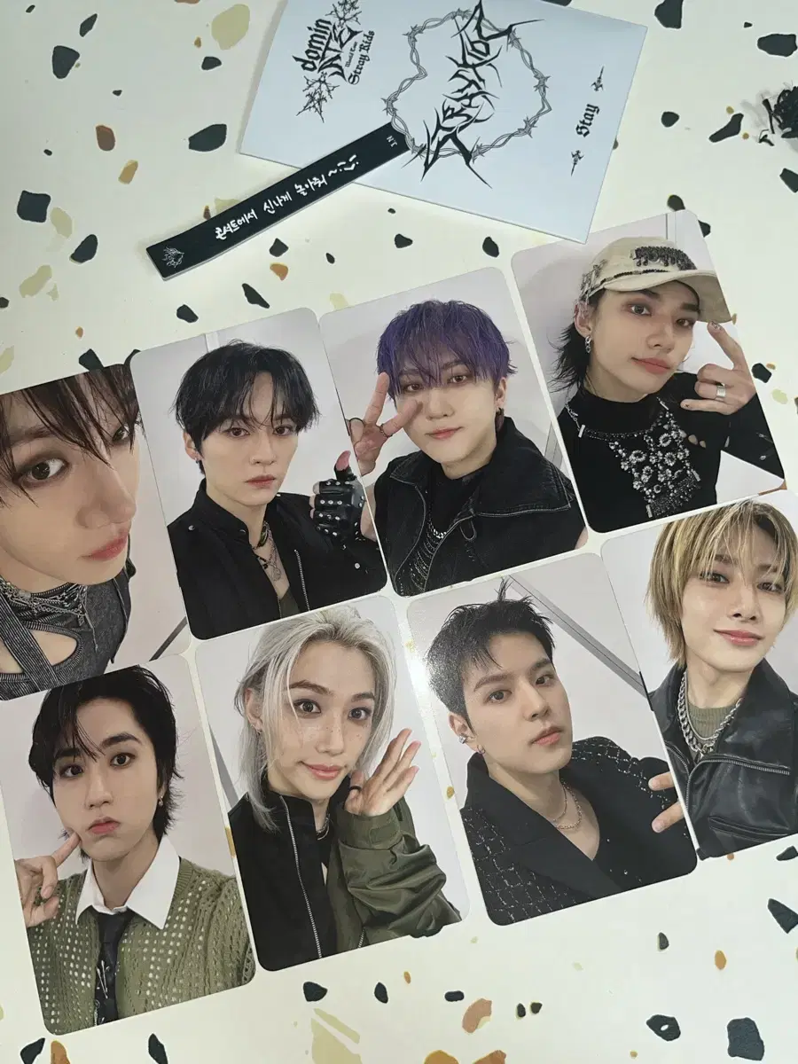 STRAY KIDS skz Dominate Concert Stayzone photocard 8/31