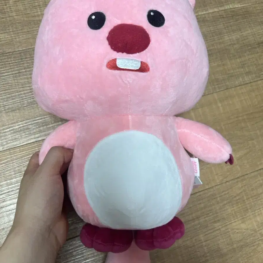 루피인형 준형