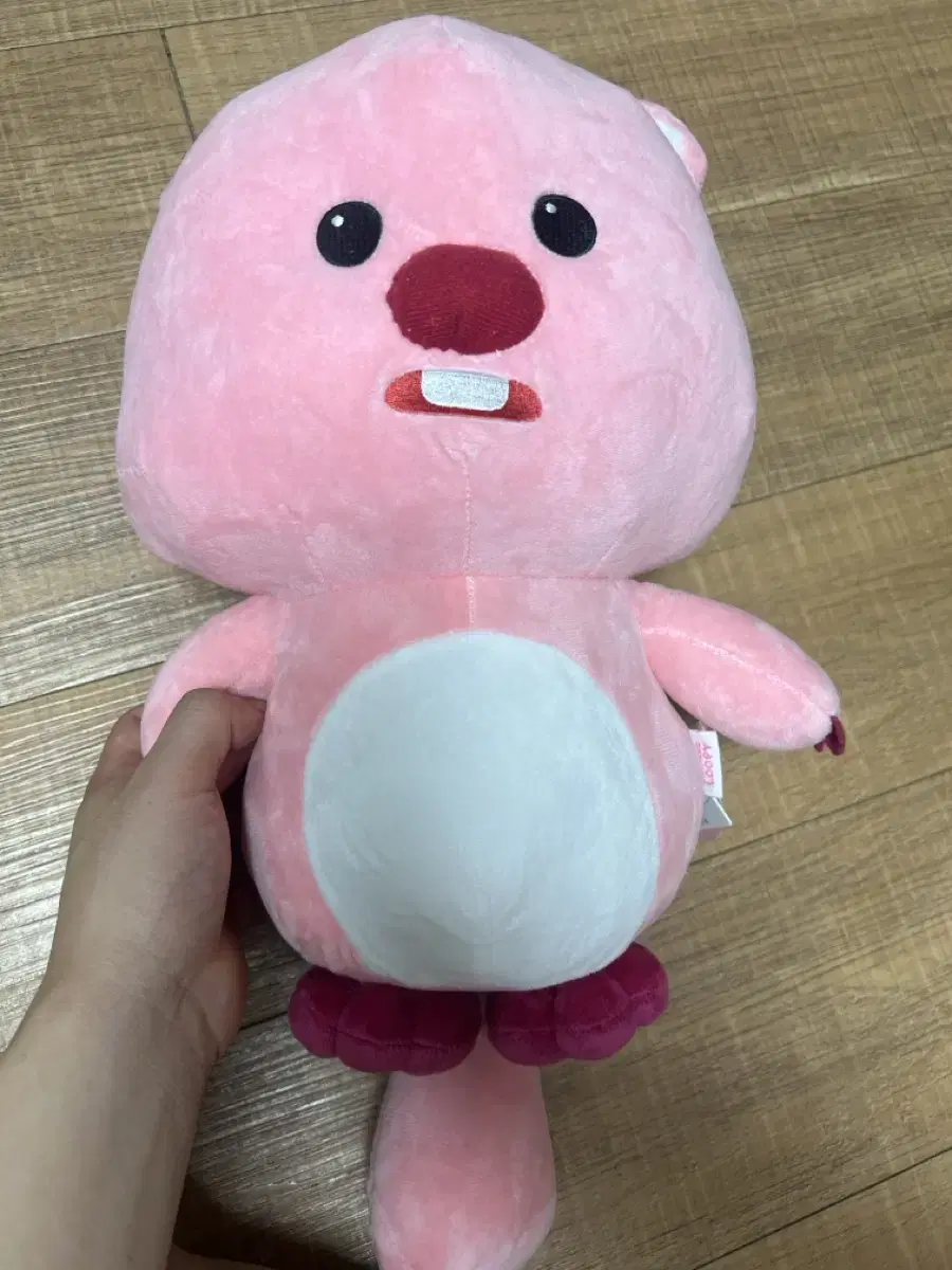 루피인형 준형