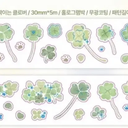 키스컷 웨스티즈 버띠 코튼월드