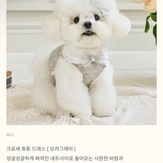 보우보우 M 강아지옷