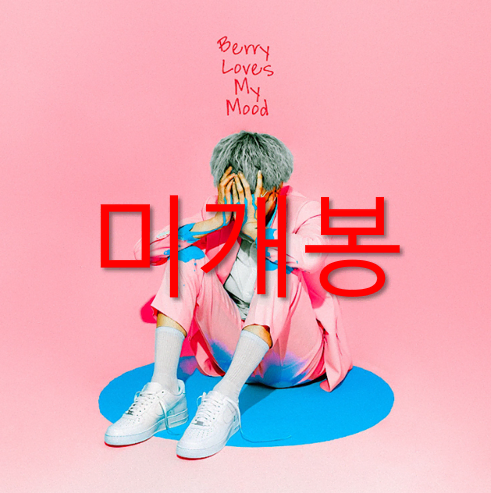 [미개봉] 스키니브라운 - Berry Loves My Mood (CD)