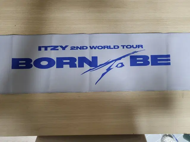 ITZY 본투비 콘서트 슬로건 급처