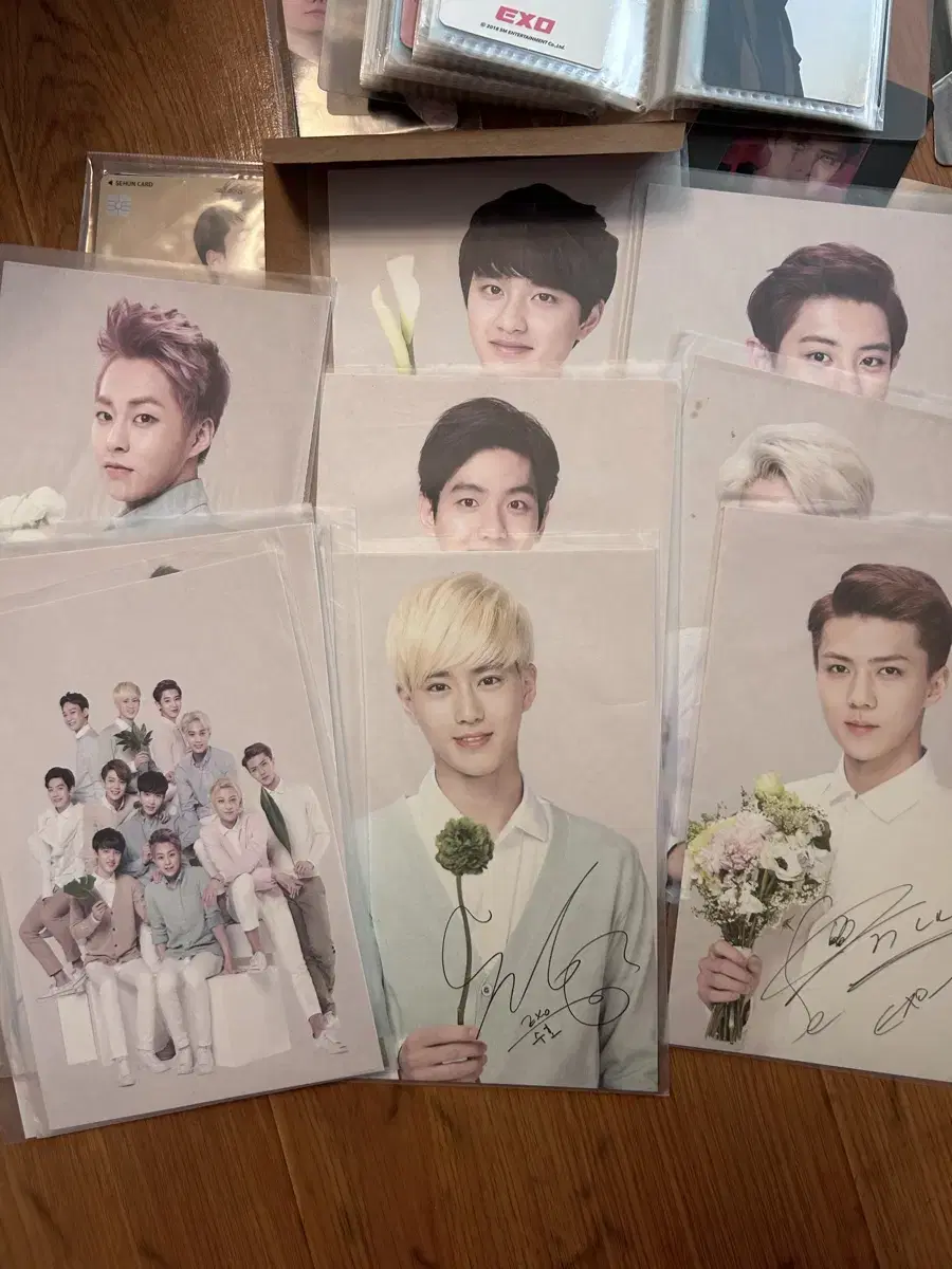 Sell Exo NaturePublic postcard 