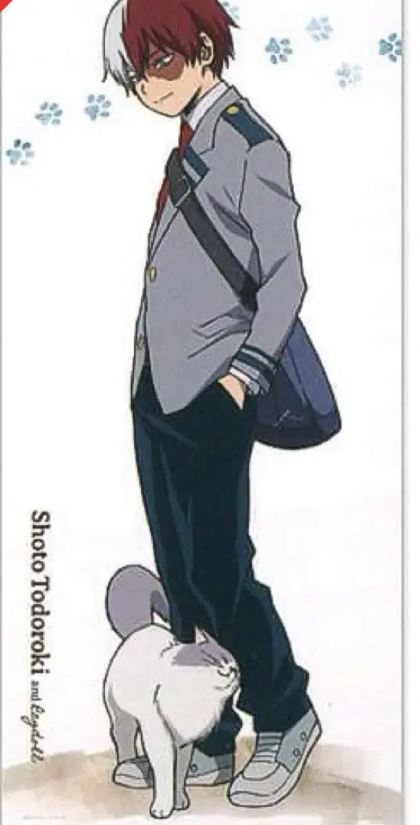 Todoroki Shoto Nekokuji Tapestry