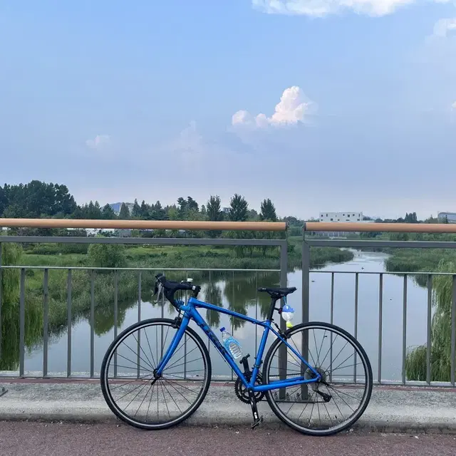 트랙(TREK) DOMANE AL2 로드자전거