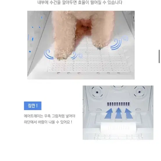 k200 붐펫 드라이룸