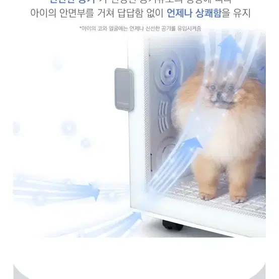 k200 붐펫 드라이룸