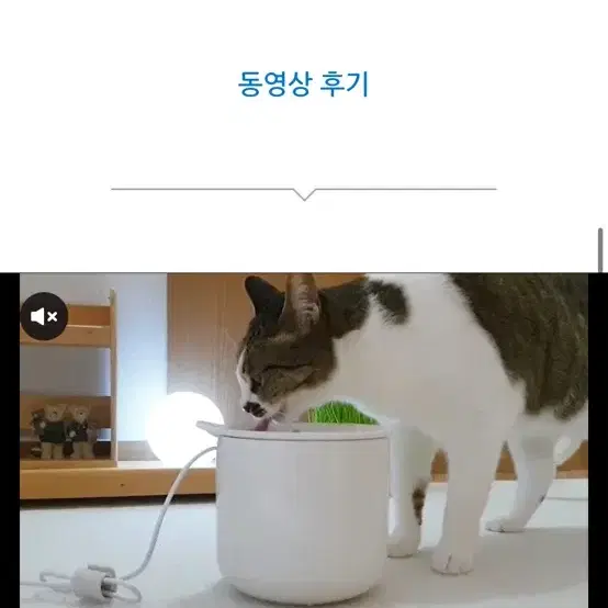 인히어런트 머그 고양이 정수기