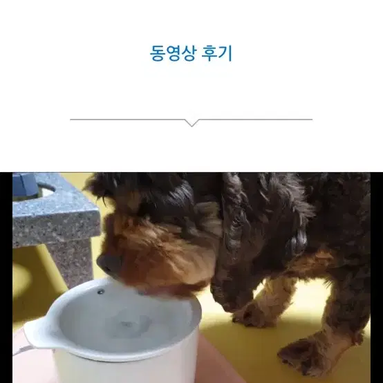 인히어런트 머그 고양이 정수기