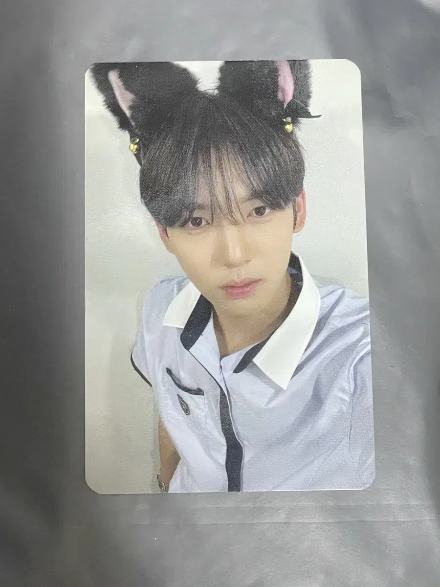 ZB1 han yujin makestar cat's ears