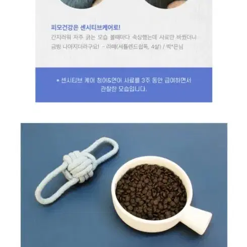 네츄럴코어 센시티브케어 청어&연어 1.2kg 강아지 피부 장건강 사료