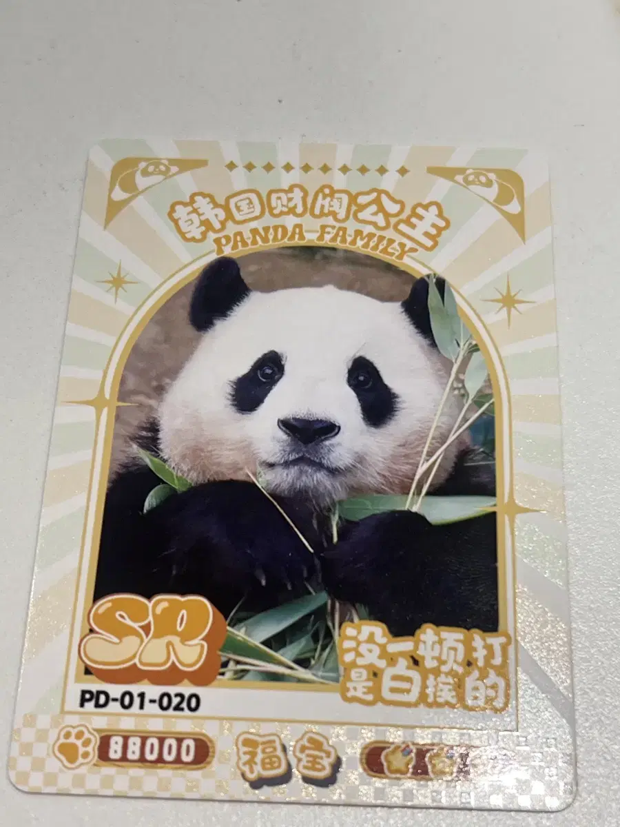 Pupao Photocard Panda Pupao Pokka