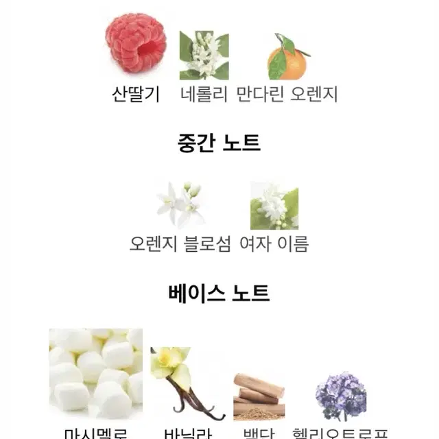 돌체앤가바나 뿌르 팜므 EDP 100ml 향수 향 너무너무 좋아요!!