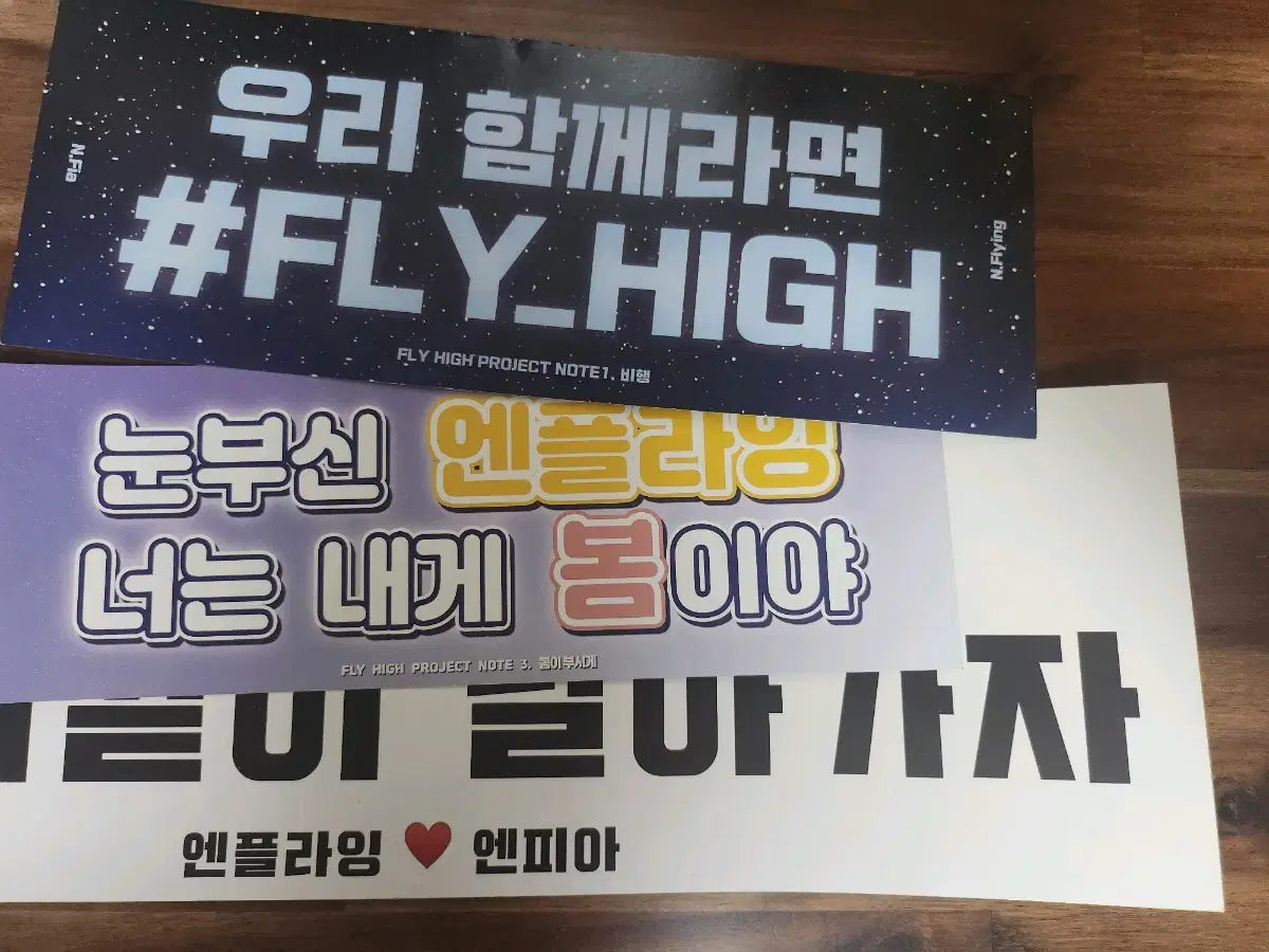 n fly high project slogan