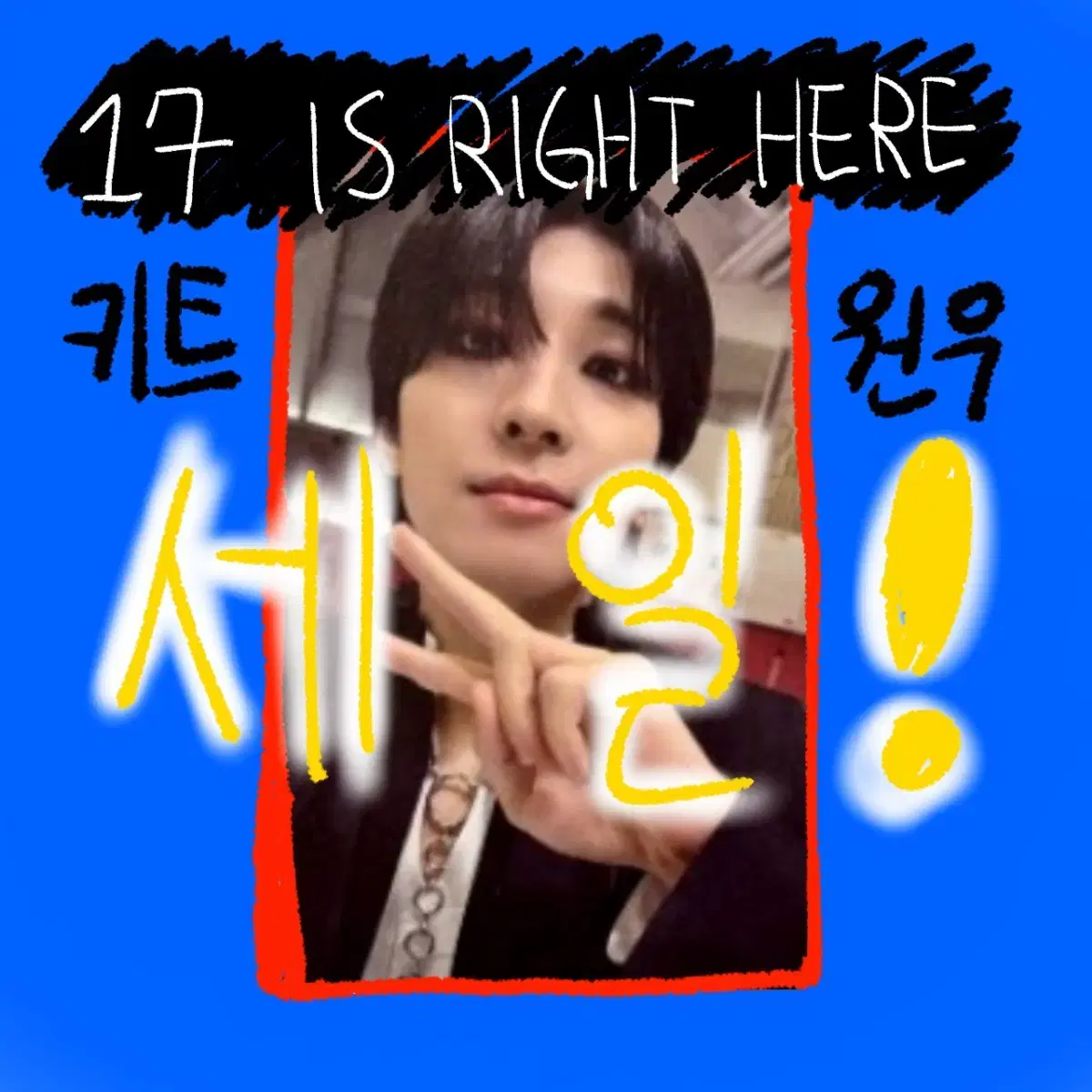 빅세일)세븐틴 is right here 키트 원우 양도