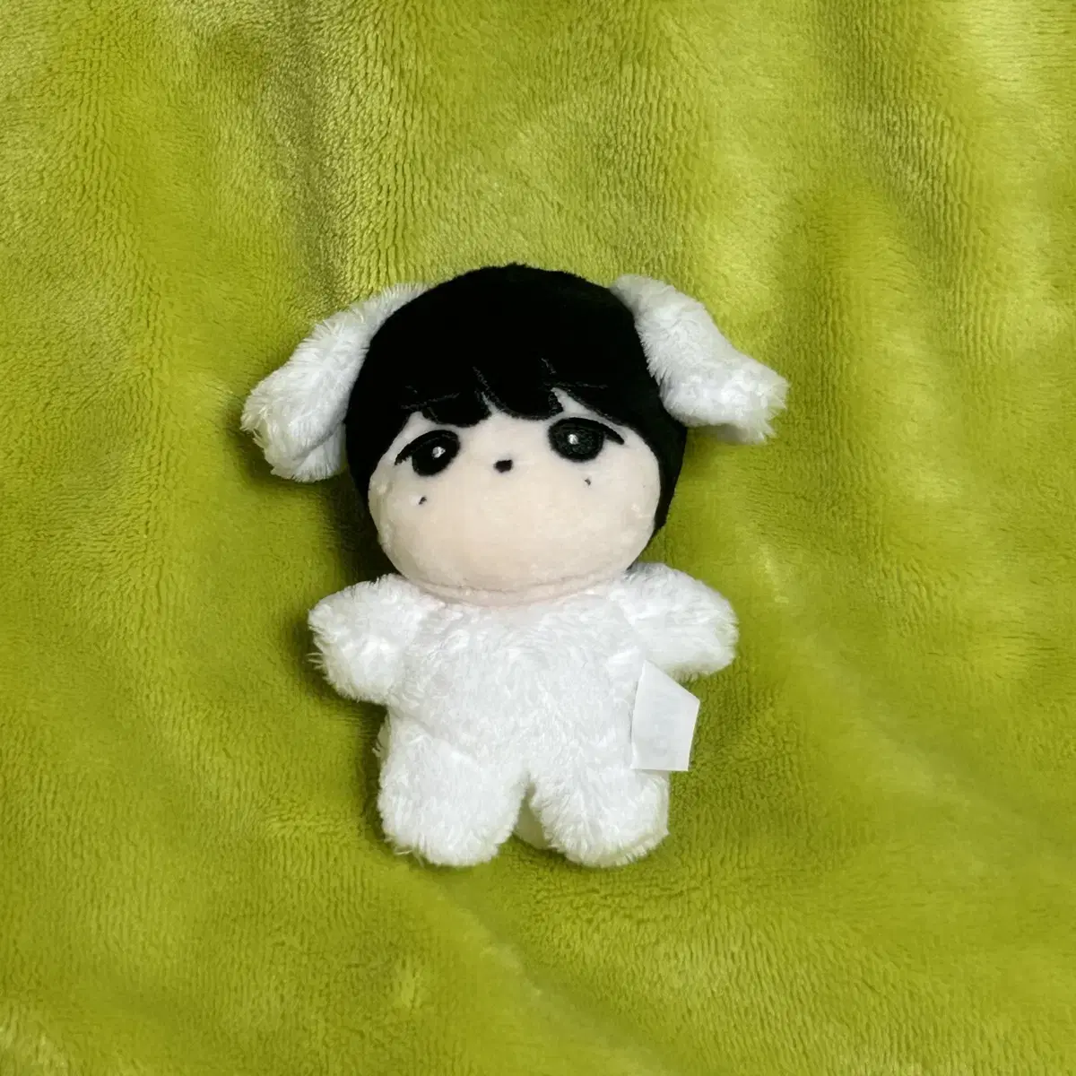 Rize chanyoung chan 10cm doll wts sells