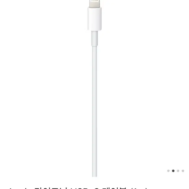 Apple 라이트닝 USB-C 케이블 (1m)