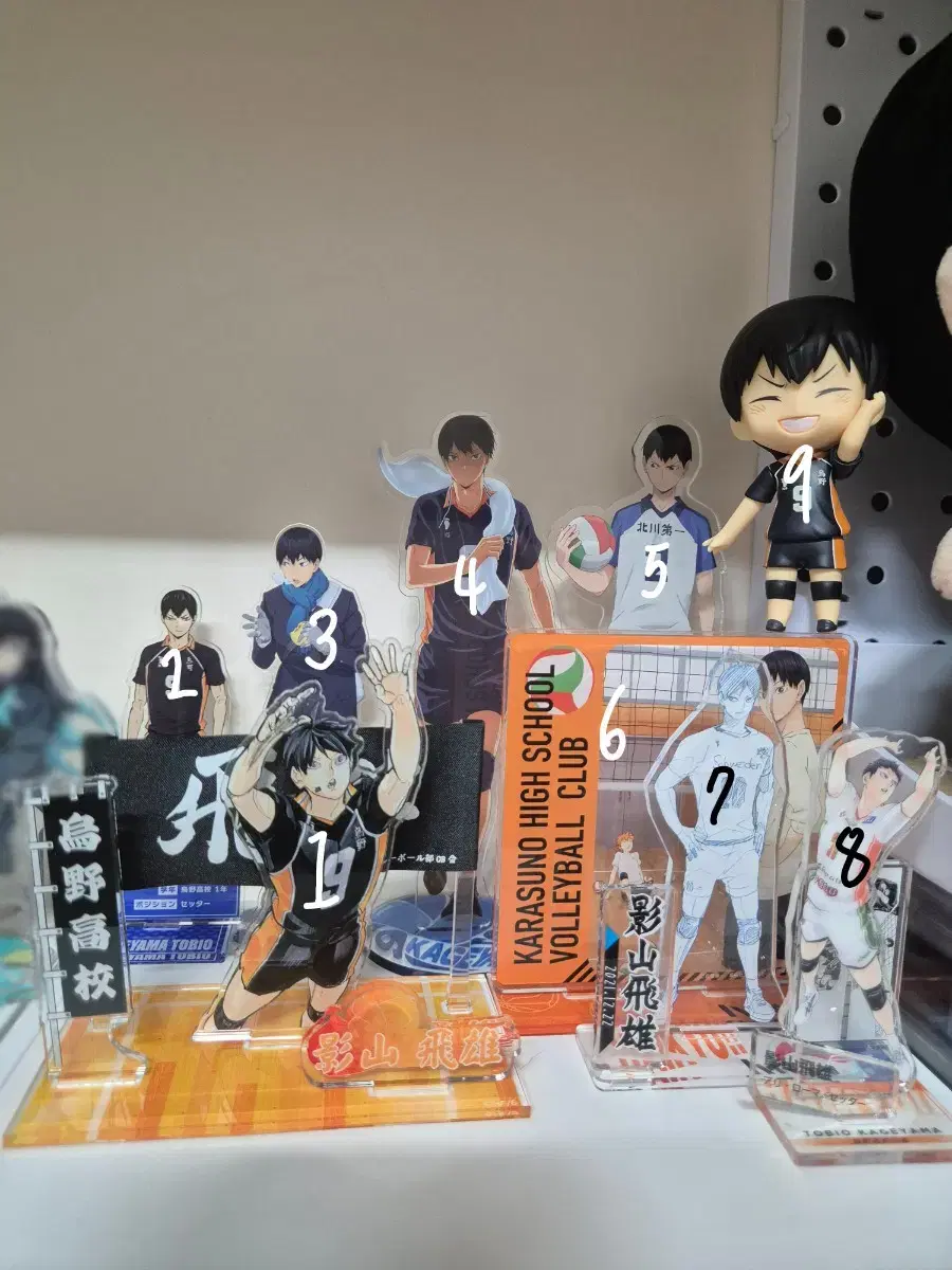 Tobio Kageyama Acrylic, Big Nitotan, Nitotan, Somyi Doll, Nendoroid WTS