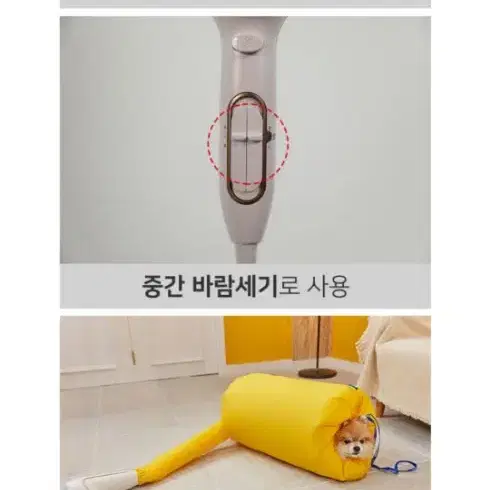 패스룸 강아지 드라이자켓