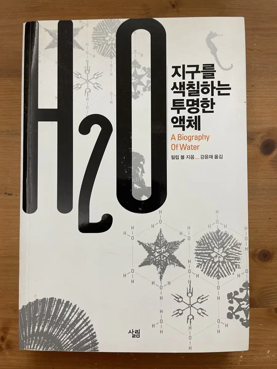 H2O : 지구를 색칠하는 투명한 액체 - 필립 볼