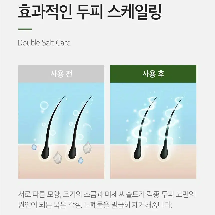 [새상품/탈모, 지루성두피 개선] 쿤달 씨솔트 앤 그린티 두피 스케일러