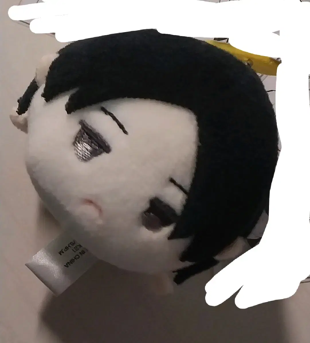 Haikyuu Kunimi Mochimasu WTS