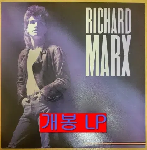 리차드막스 - Richard Marx (개봉, LP)