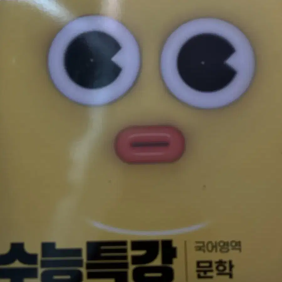 수능특강 문학