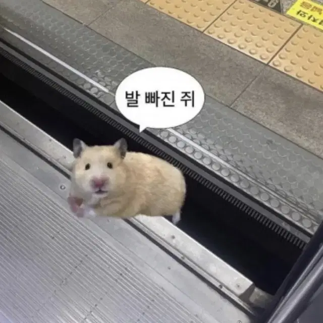 포스센스티브 가위 티셔츠 반팔