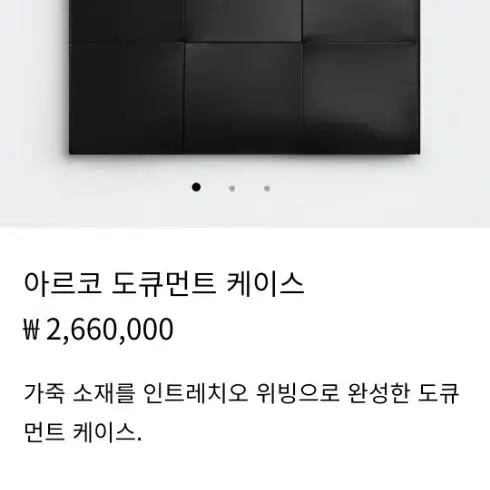 보테가베네타 아르코 도큐먼트케이스 클러치