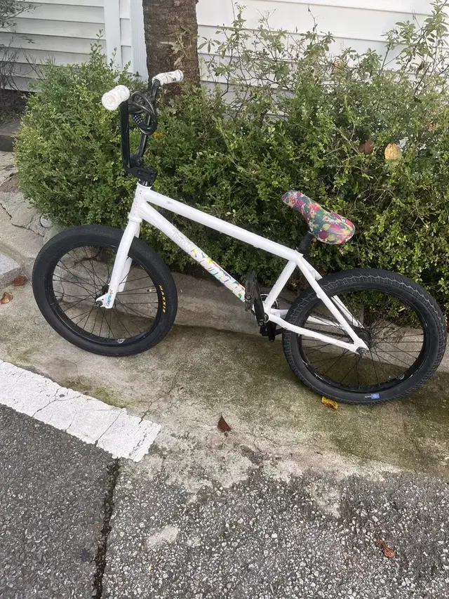 산데이 bmx 포어