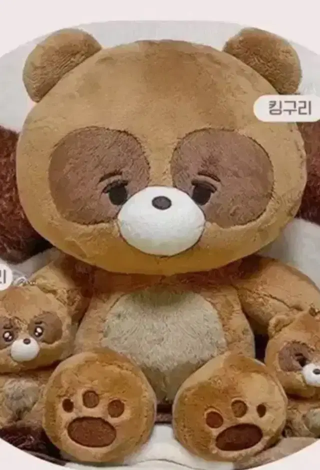 더보이즈 선우 인형 킹구리 양도