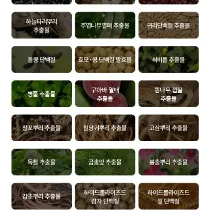 닥터라파알 트리트먼트단백질대용량헤어팩1000MLX3개두피전문미용실입점