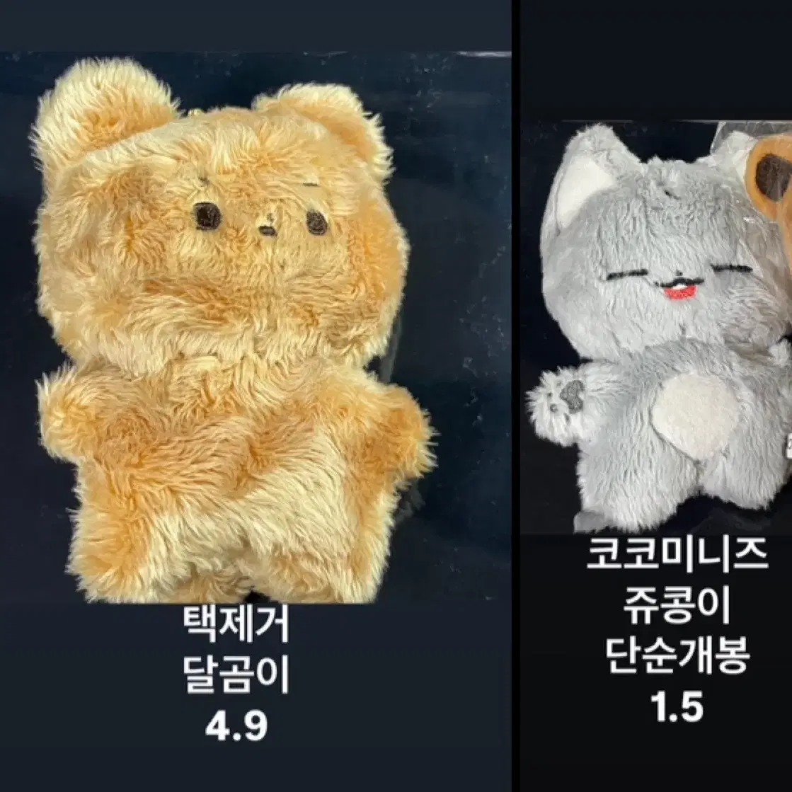 더보이즈 인형 달곰이 쥬콩이 주연 현재