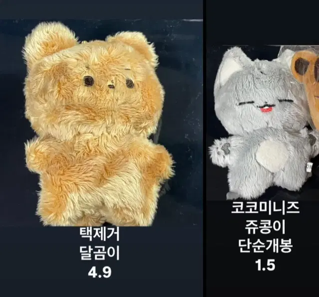 더보이즈 인형 달곰이 쥬콩이 주연 현재