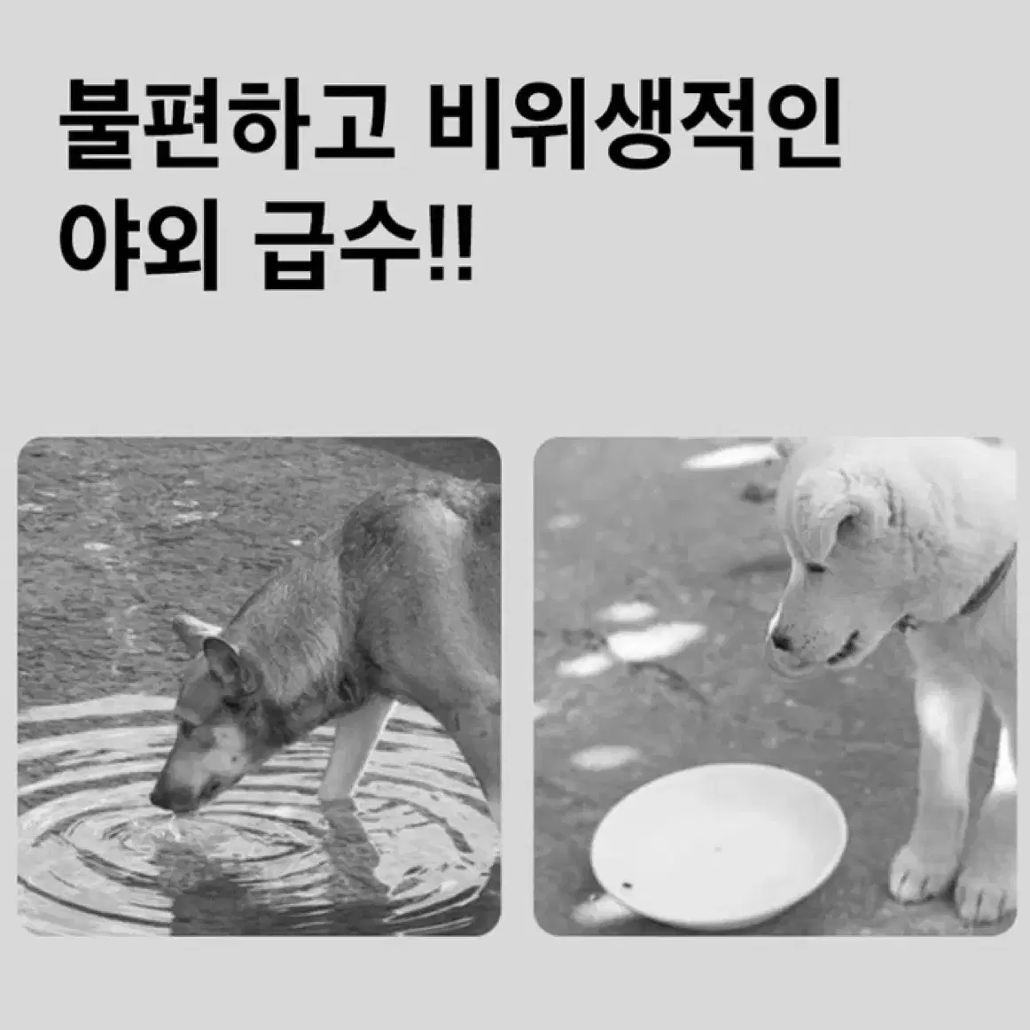 [최저가보다저렴] 애견물통 휴대용 강아지 물그릇 500ml 물 산책 애견