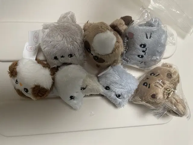 더보이즈 리틀보이즈 5cm 인형