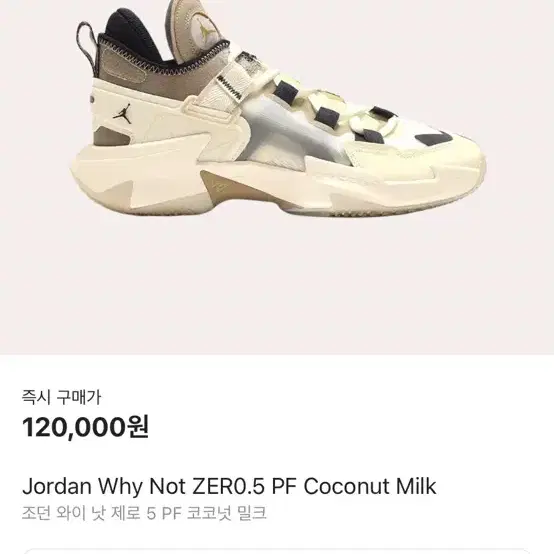 Jordan Why Not Zer0.5 농구화