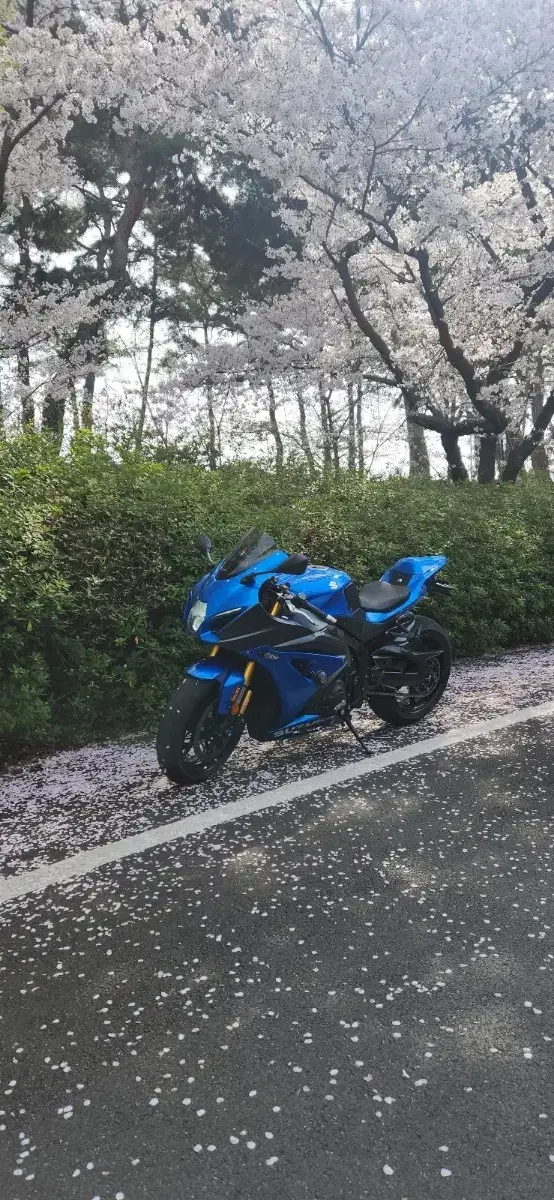 스즈끼R1000R