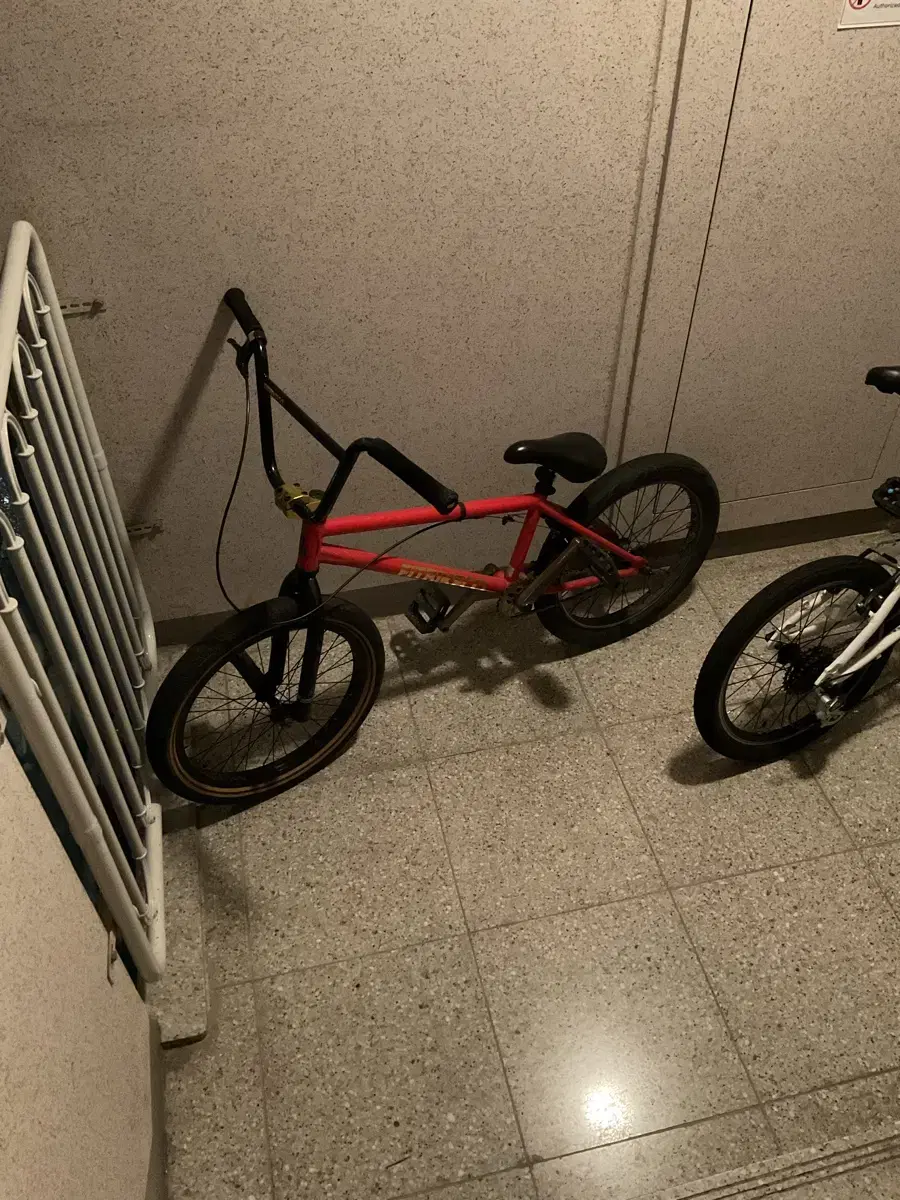 Pitbike bmx(2021)