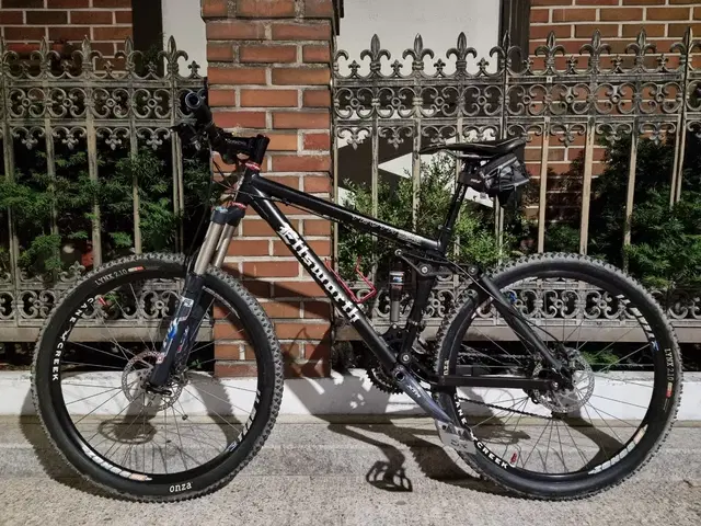 엘스워스 트루스 XTR MTB