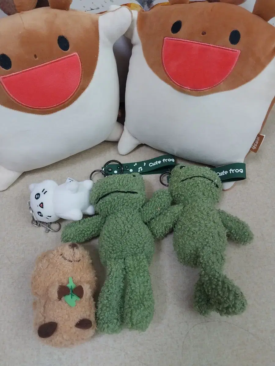 Hugs,springbae,frogs,quokkas doll sell!