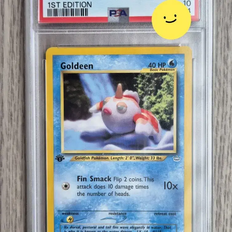 1st edition 초판 북미판 포켓몬카드 2001년 PSA10 콘치